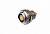 EСG.1B.306.CLL
